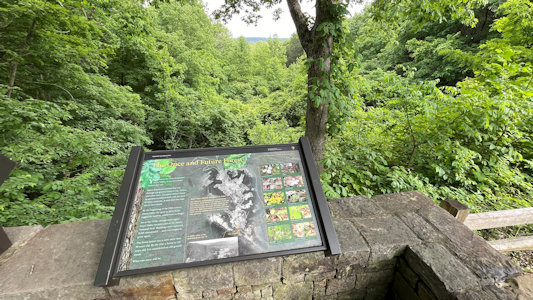 NPS Image